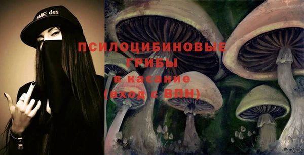 MESCALINE Гусь-Хрустальный