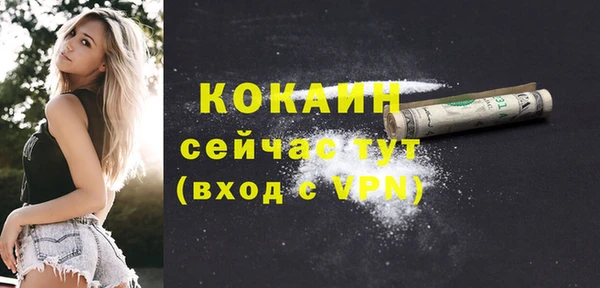 СК Гусев