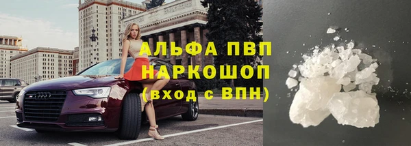 СК Гусев